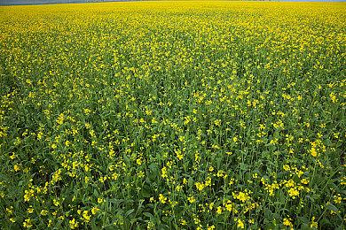 科隆展：恐怖游戏《收容：秘密档案》预告公布 9月13日上线